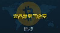 壹品慧燃气缴费